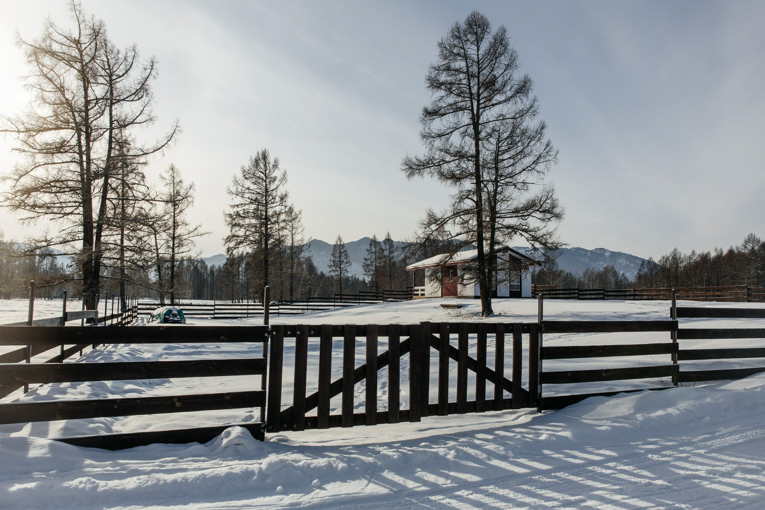 Фото Аврора