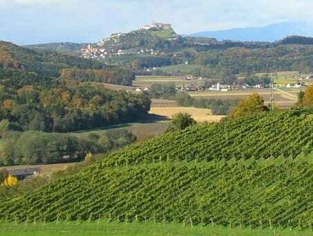 Гостиница Malerwinkl - Kunsthotel в Штирии