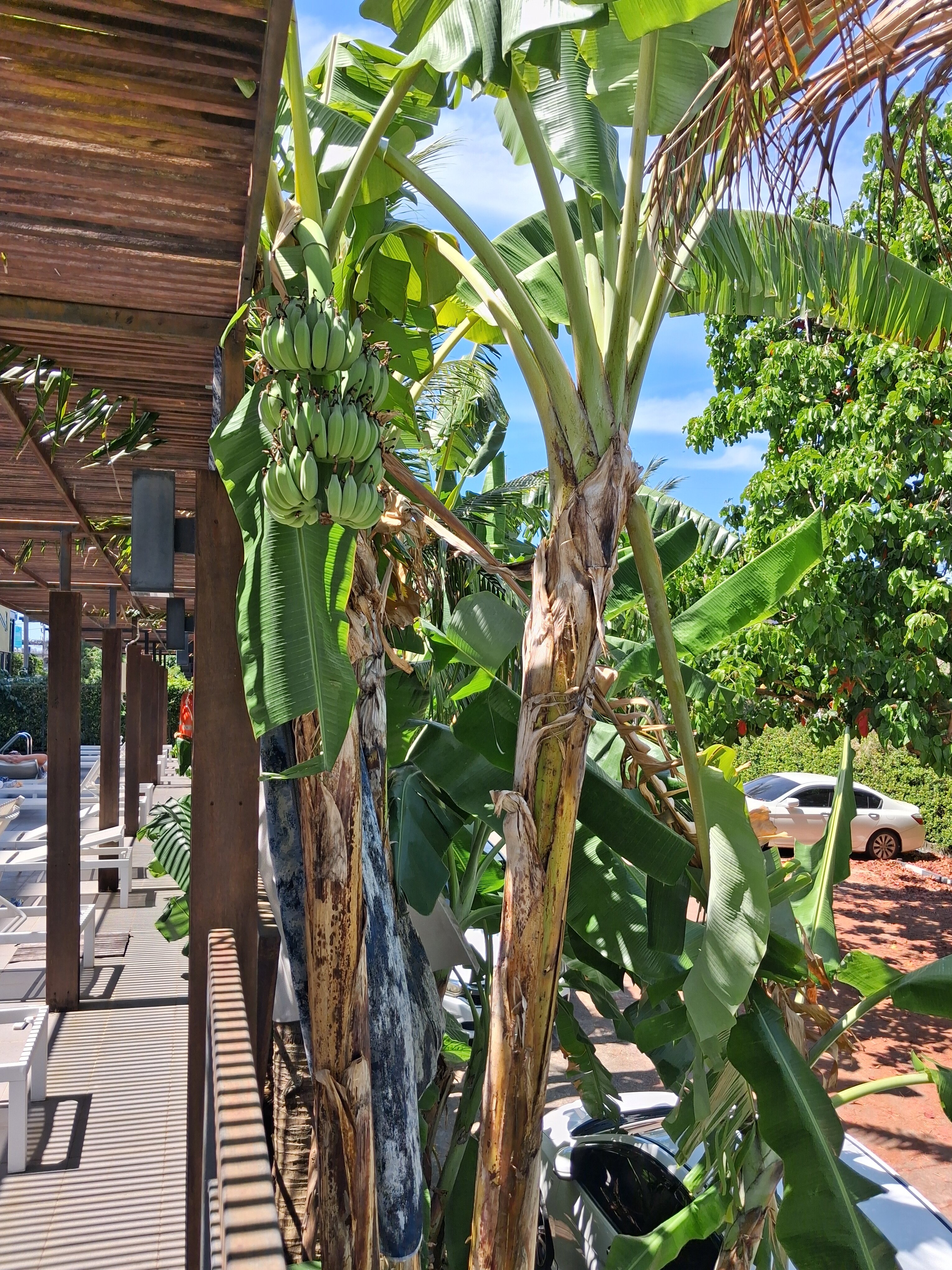 Фото Sugar Marina Aviator Phuket Airport
