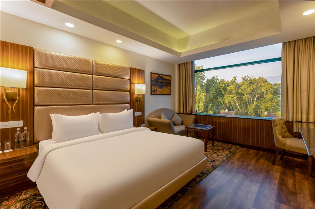 Фото Radisson Srinagar