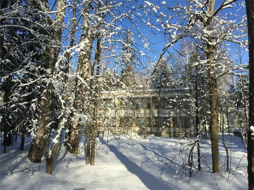 Ёжик — фото 5