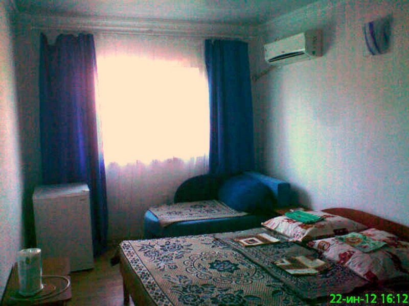 Фото Белая Чайка