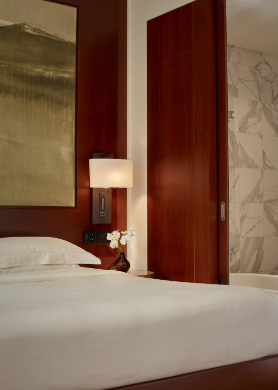 Фото Park Hyatt Zurich