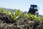 Agro Standart (Krasnopolyanskaya Street, 86), plant protection products