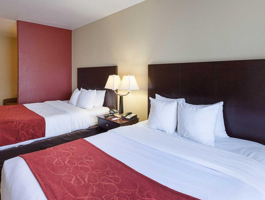 Фото Comfort Suites Medical Center near Six Flags