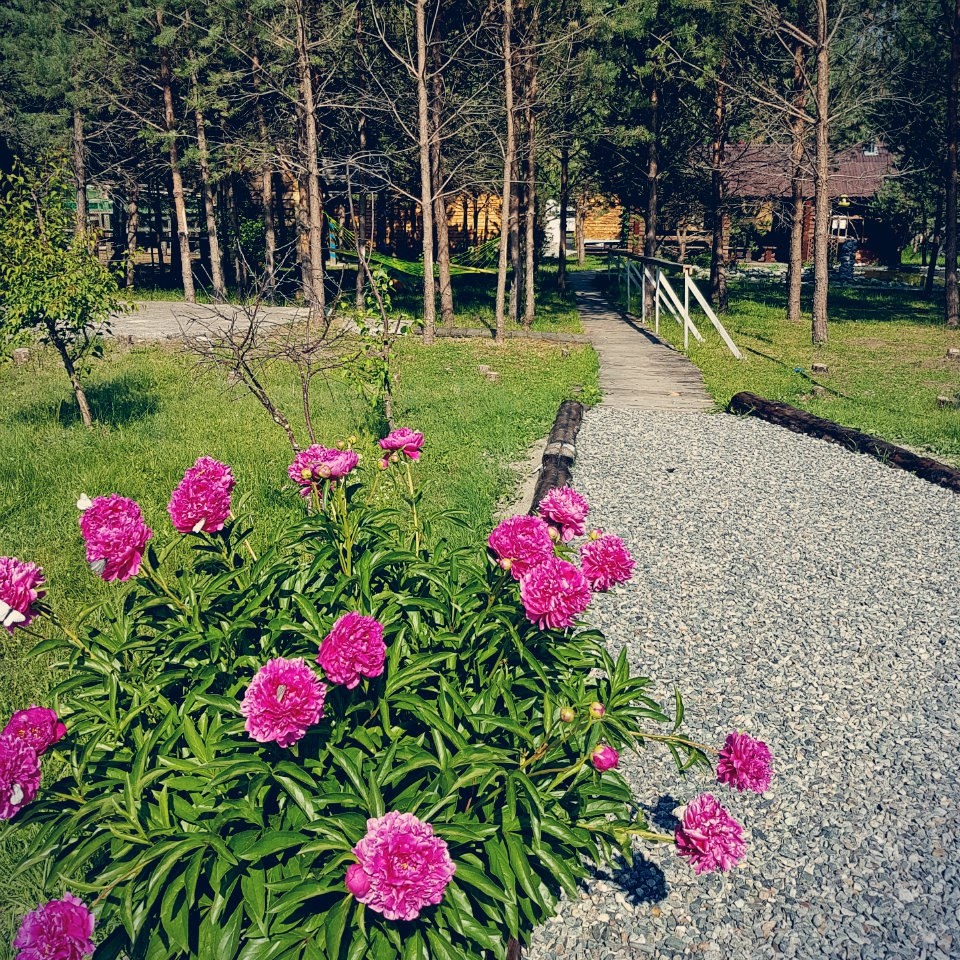 Фото Росстань