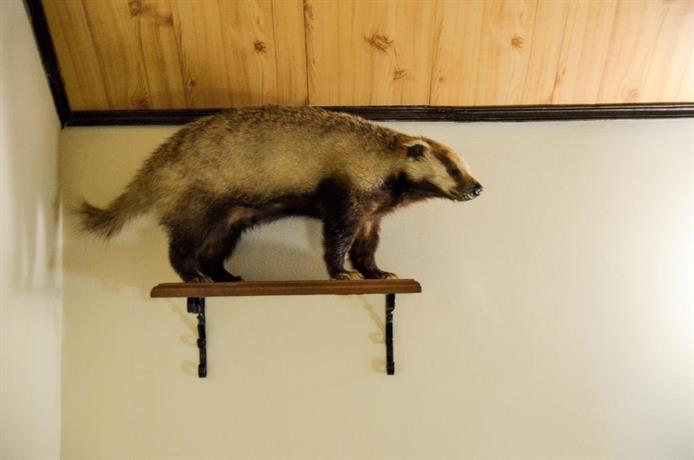 Фото Норд Вест