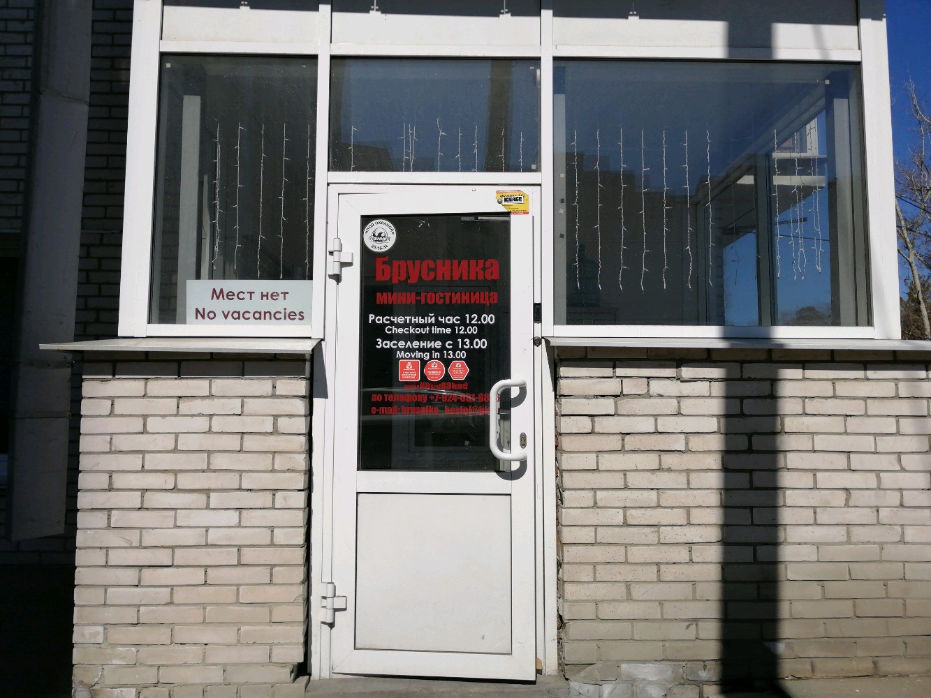 Фото Брусника