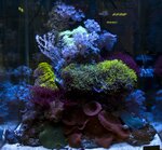 Aquamagis (Staropetrovsky Drive, 7Ас6), acuarios