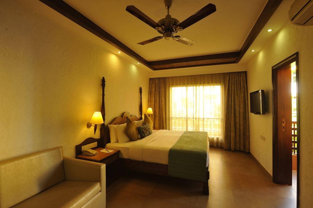 Фото Adamo The Bellus