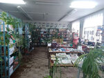 Коммунарский библиотечный филиал № 8 (posyolok Kommunarskiy, Tsentralnaya ulitsa, 13), library