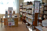 Московская сельская библиотека (posyolok Moskovskiy, Shkolnaya ulitsa, 2А), biblioteca