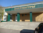 Викторопольский модельный сельский Дом культуры (posyolok Viktoropol, ulitsa Yuriya Gagarina, 1), house of culture