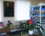Inter-settlement children's library named after S. T. Aksakova (selo Privolzhye, ulitsa Mira, 011), library
