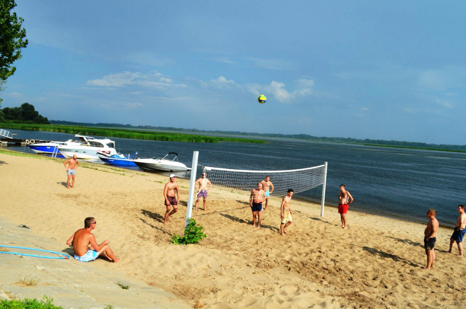 Фото Подсолнух