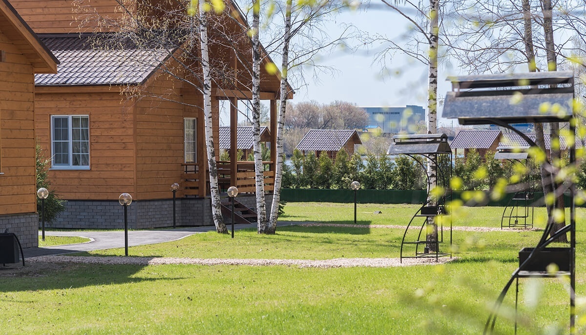 Фото Золотые Караси