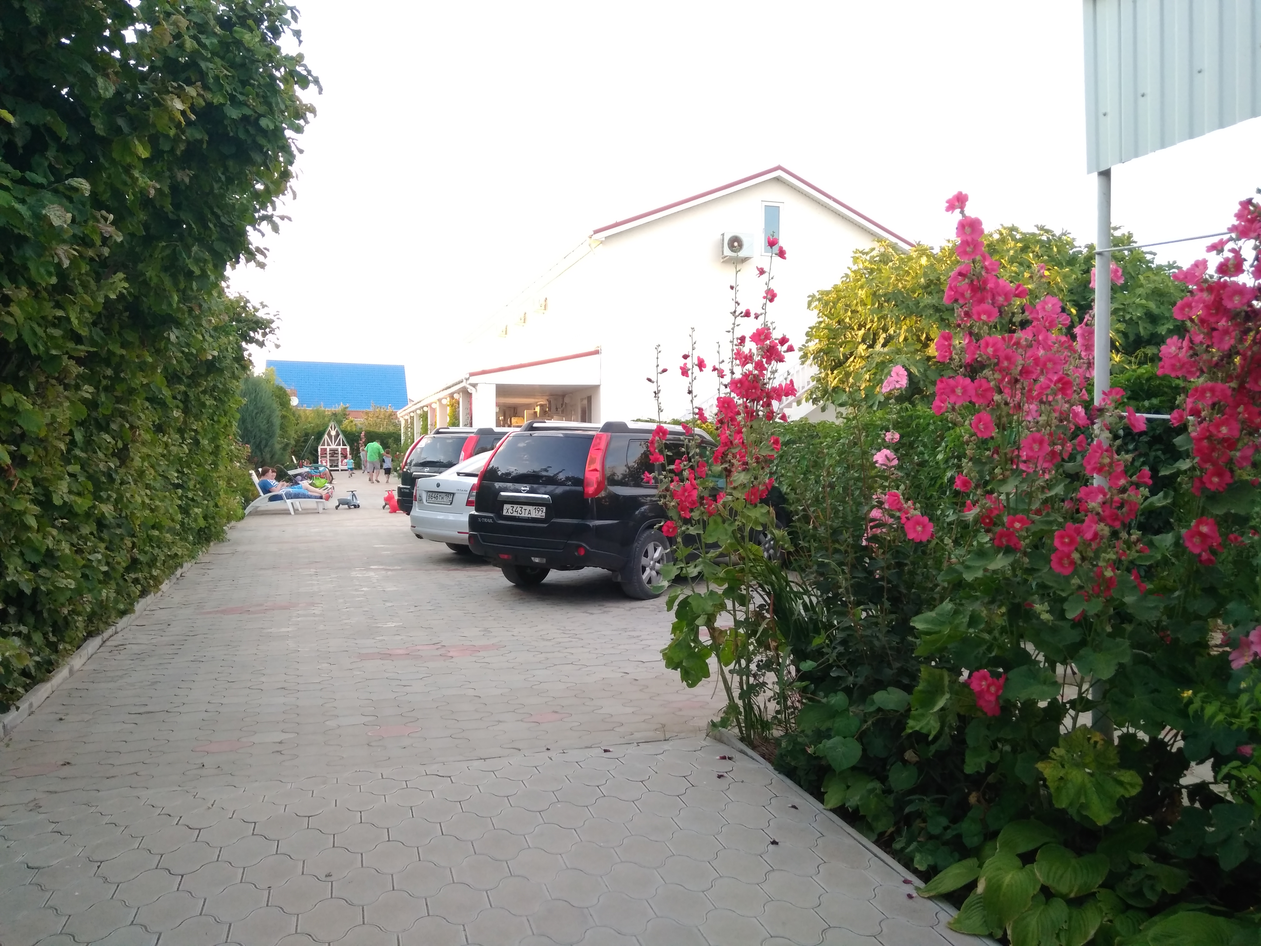 Фото Парадиз