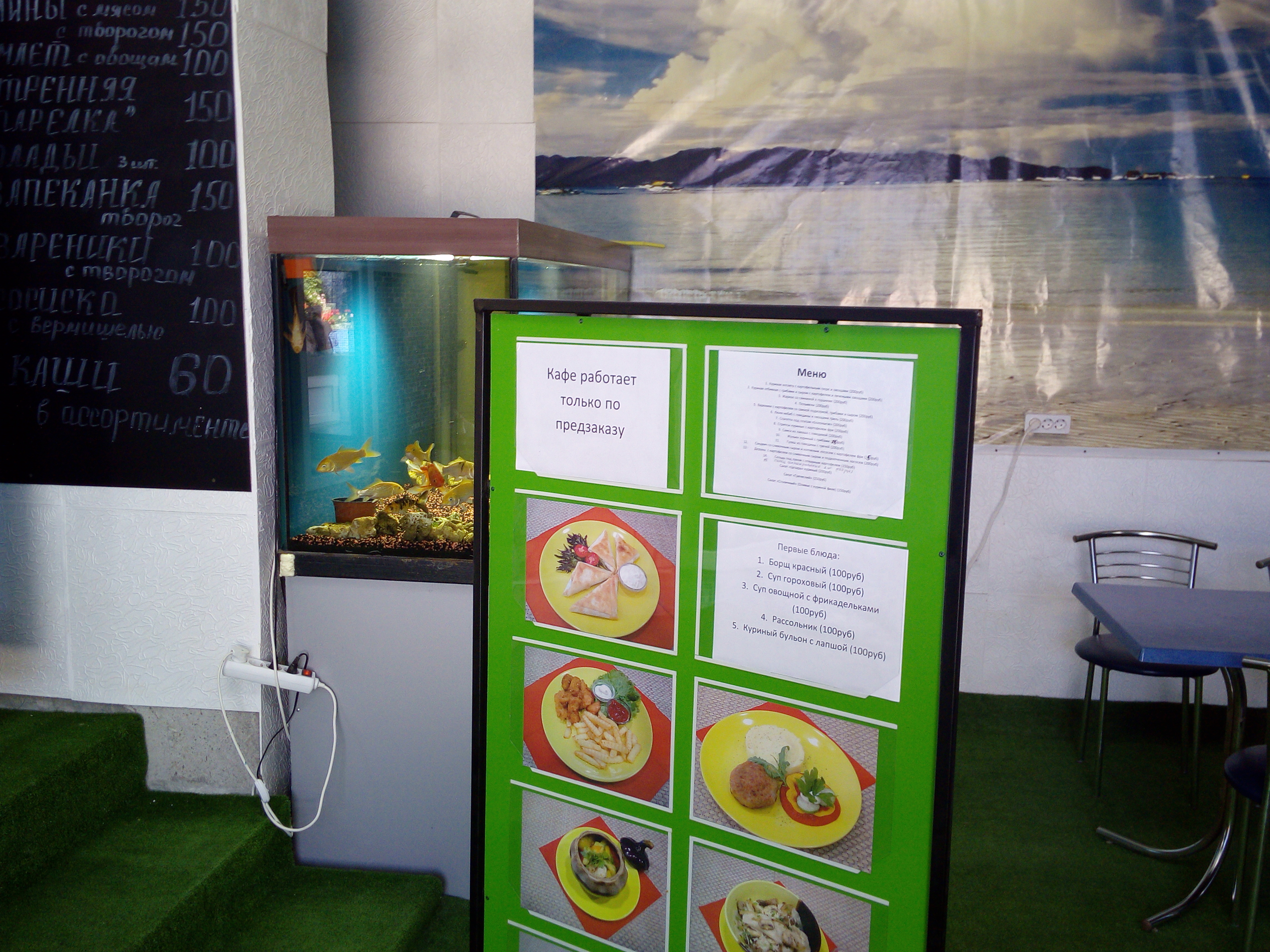 Фото Золотая рыбка