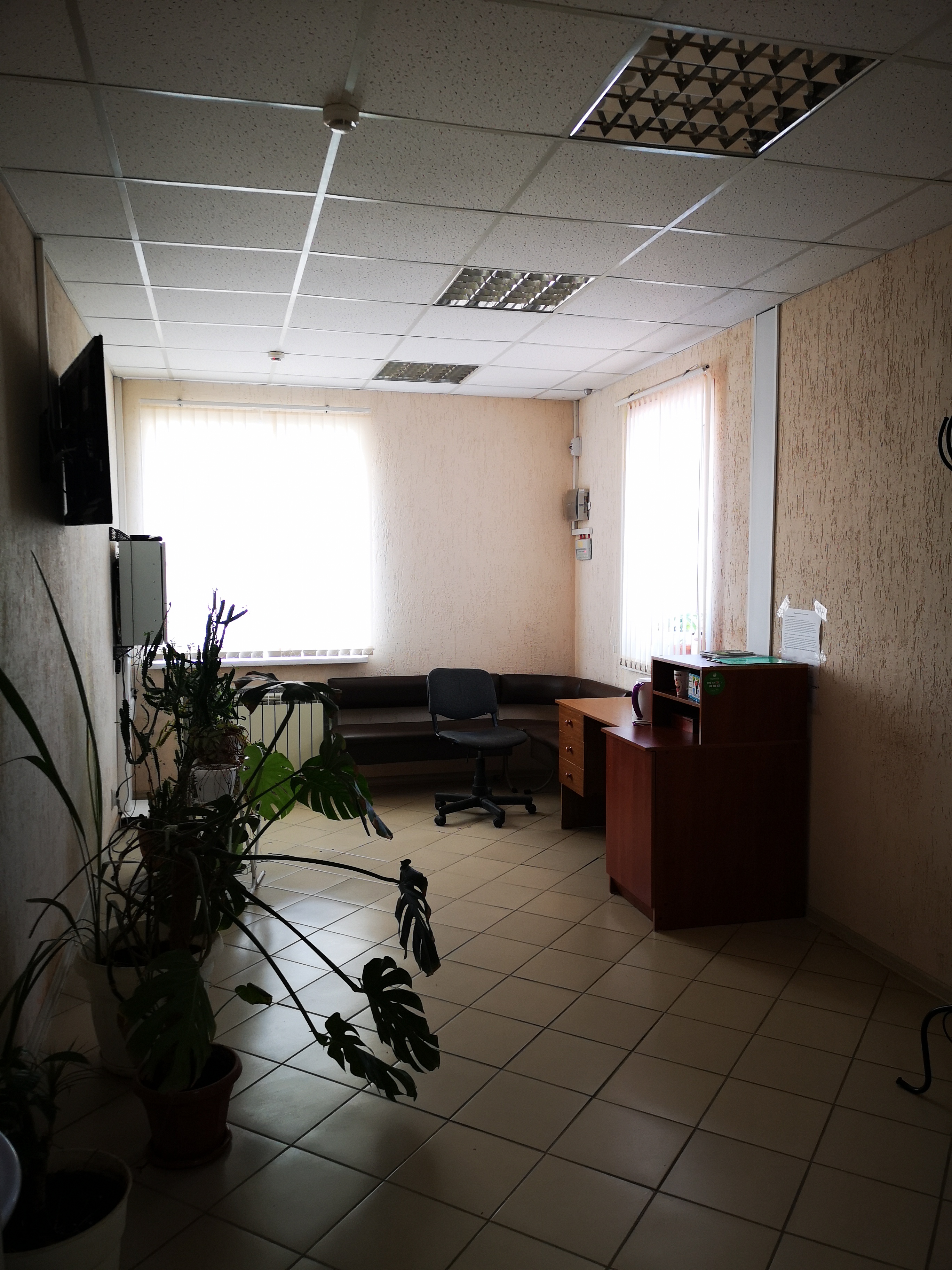 Фото РодНик