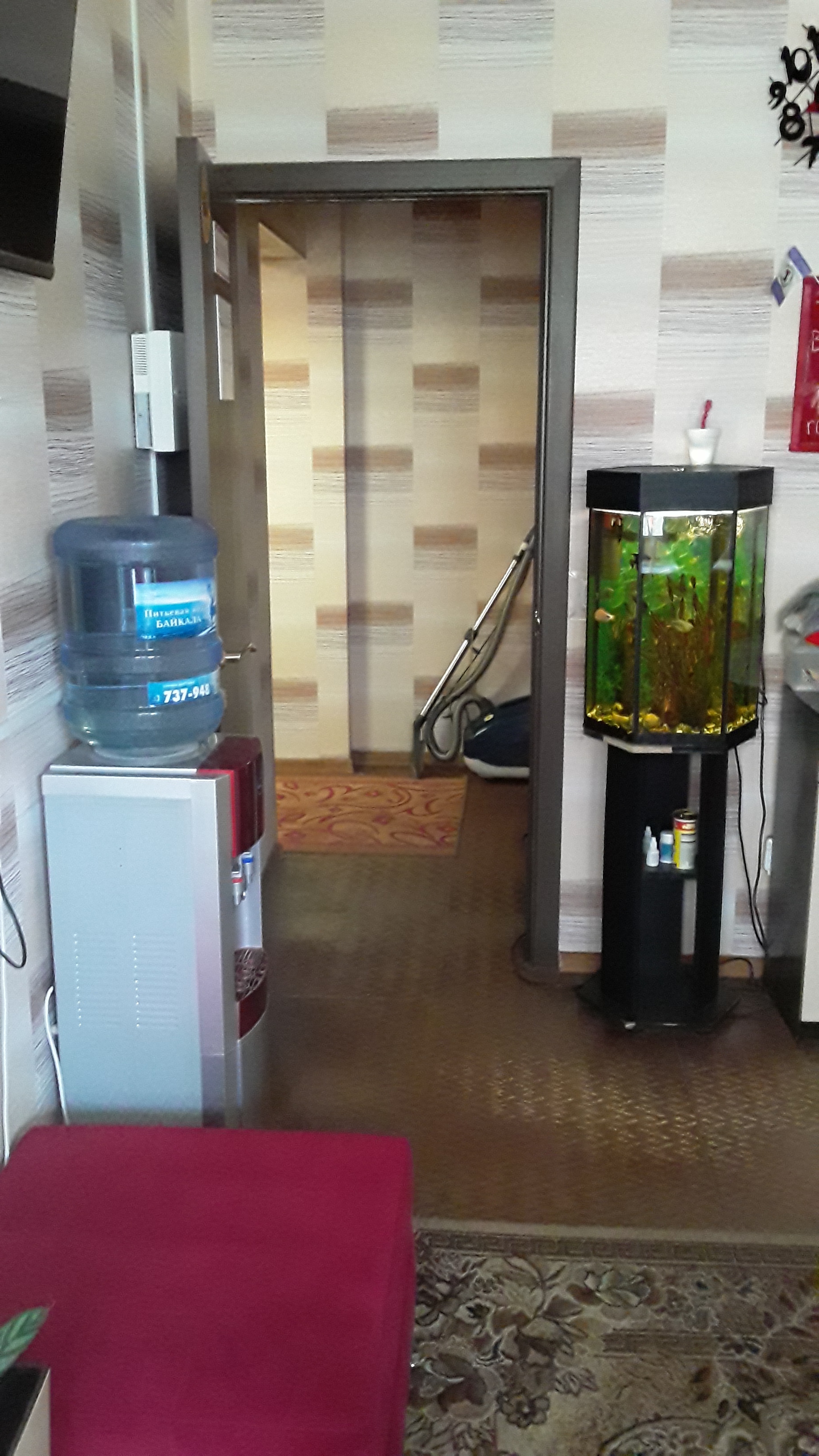 Фото Брусника