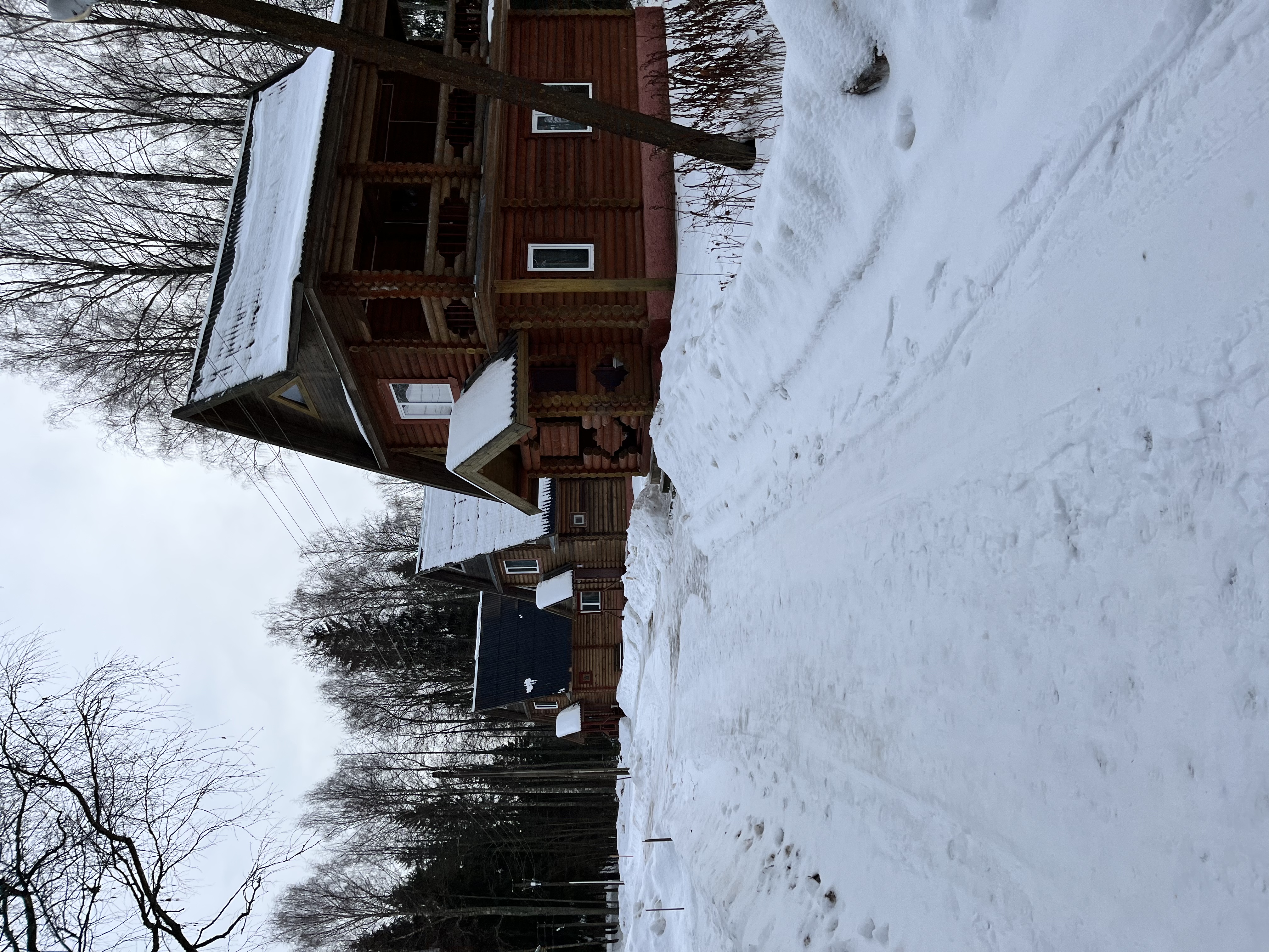 Фото Орлинка