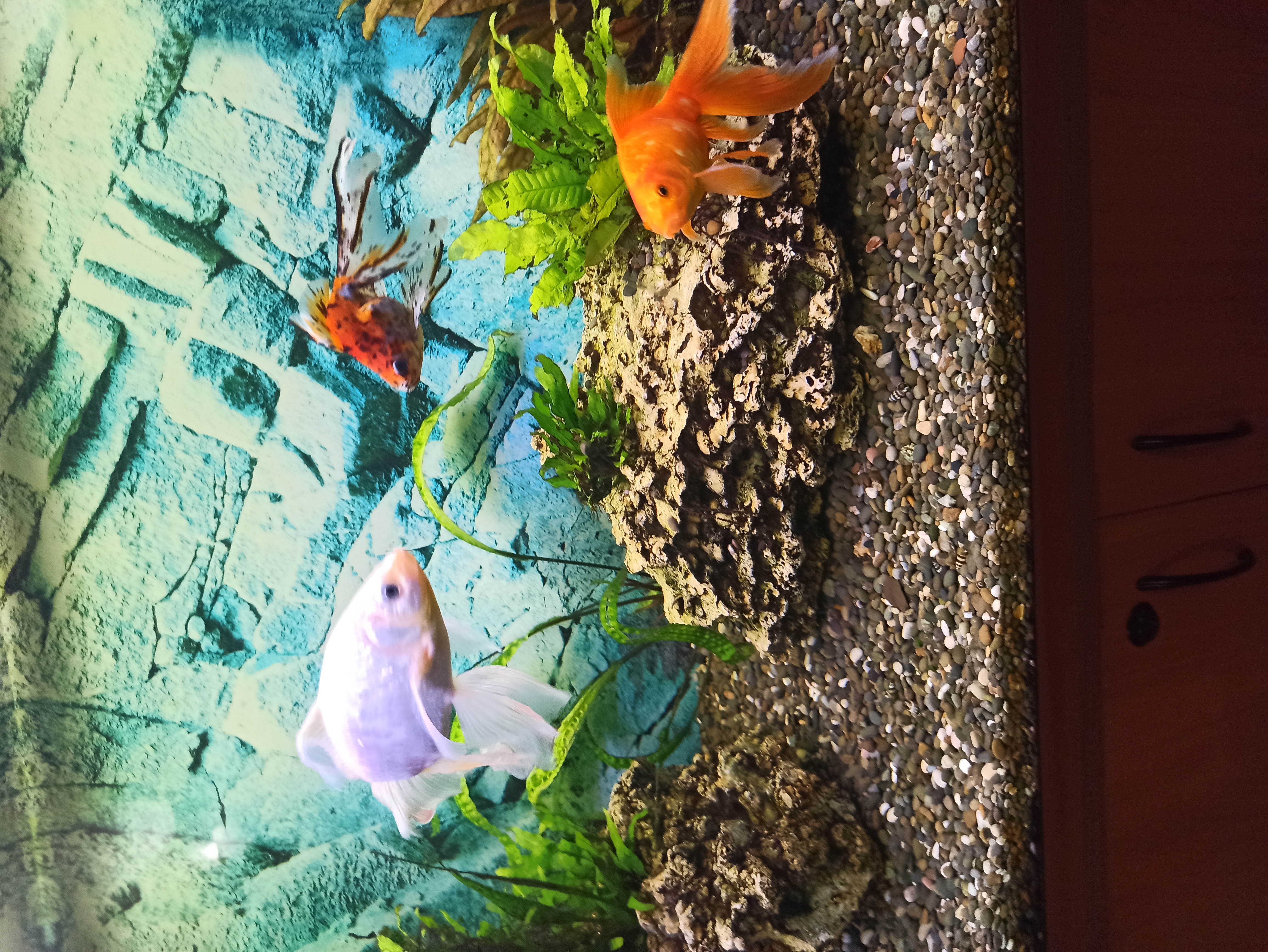 Фото Интермашотель