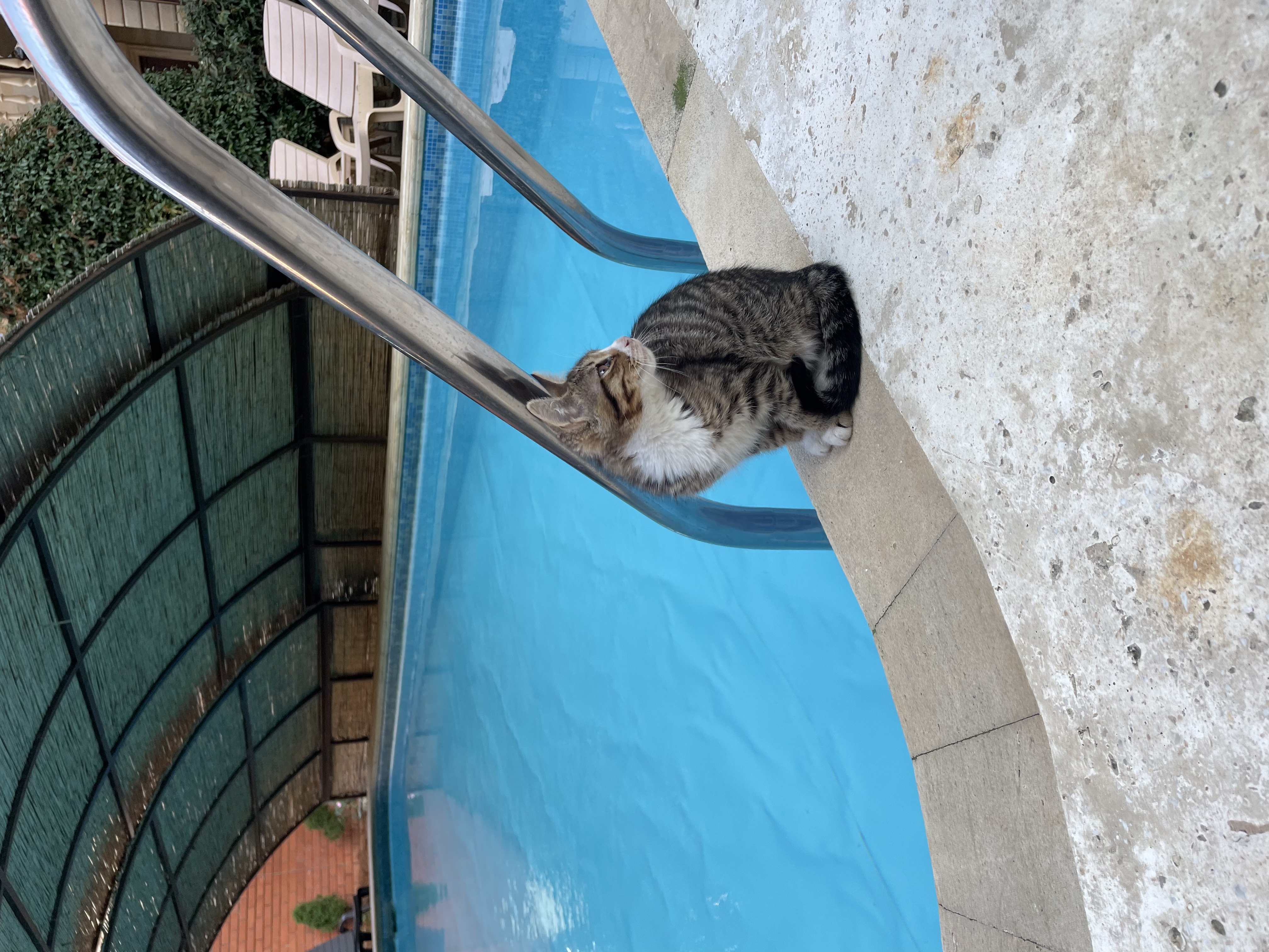 Фото Касабланка