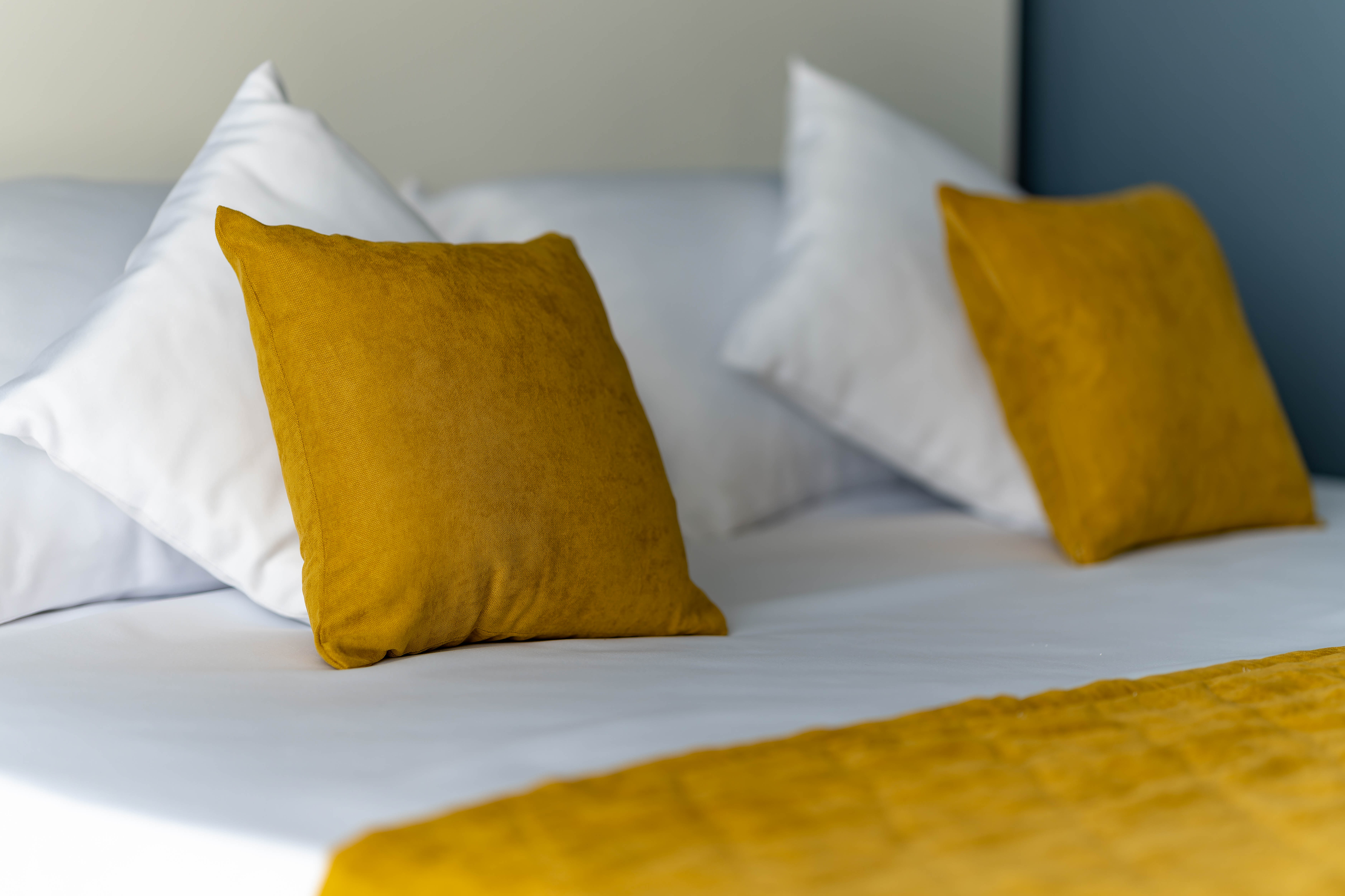 Фото Диво Морское