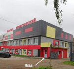 Развивающий центр для детей, подростков и взрослых Город Речи (Proletarskaya ulitsa, 97), logopedas
