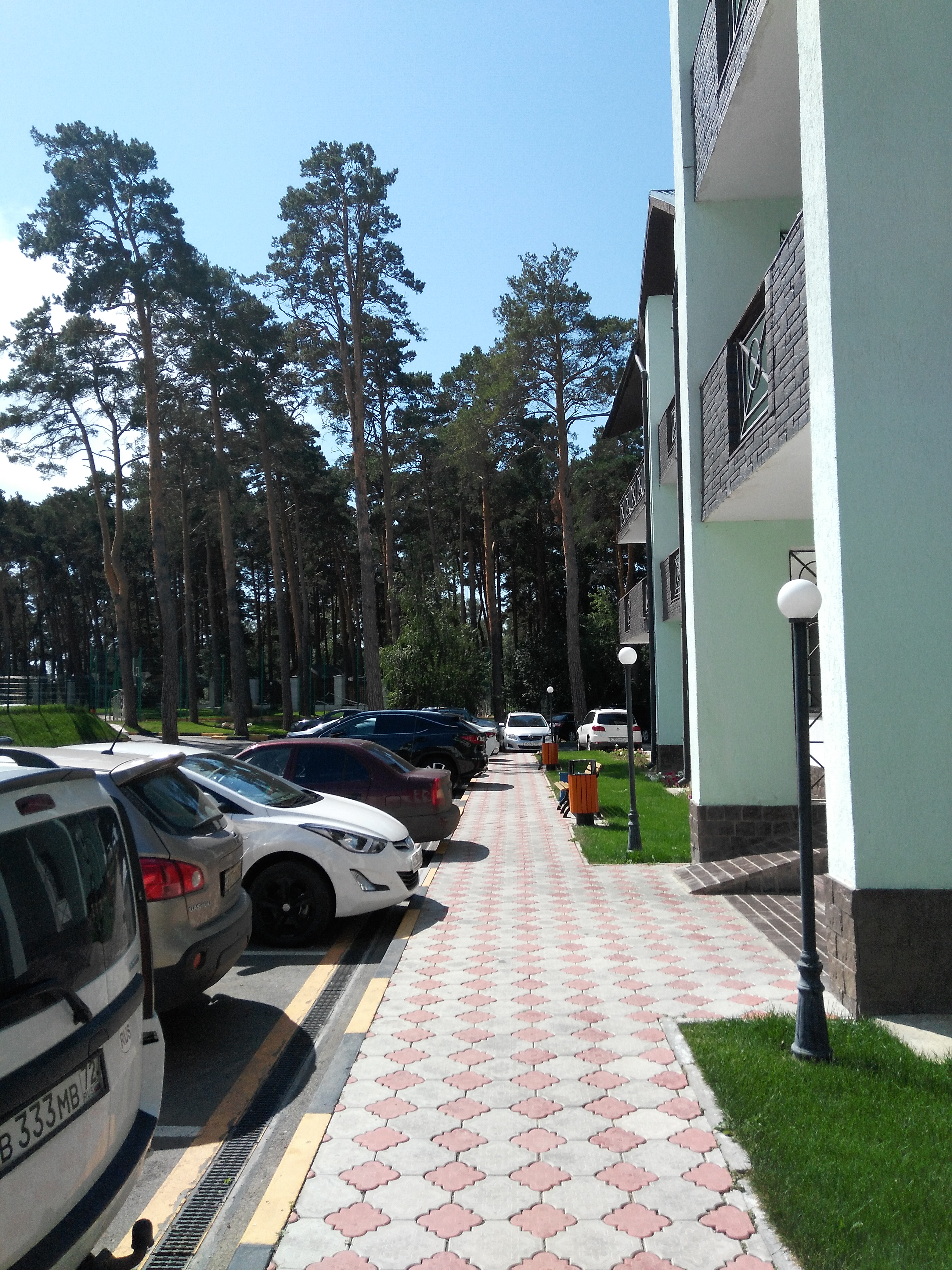 Фото Кокшебел