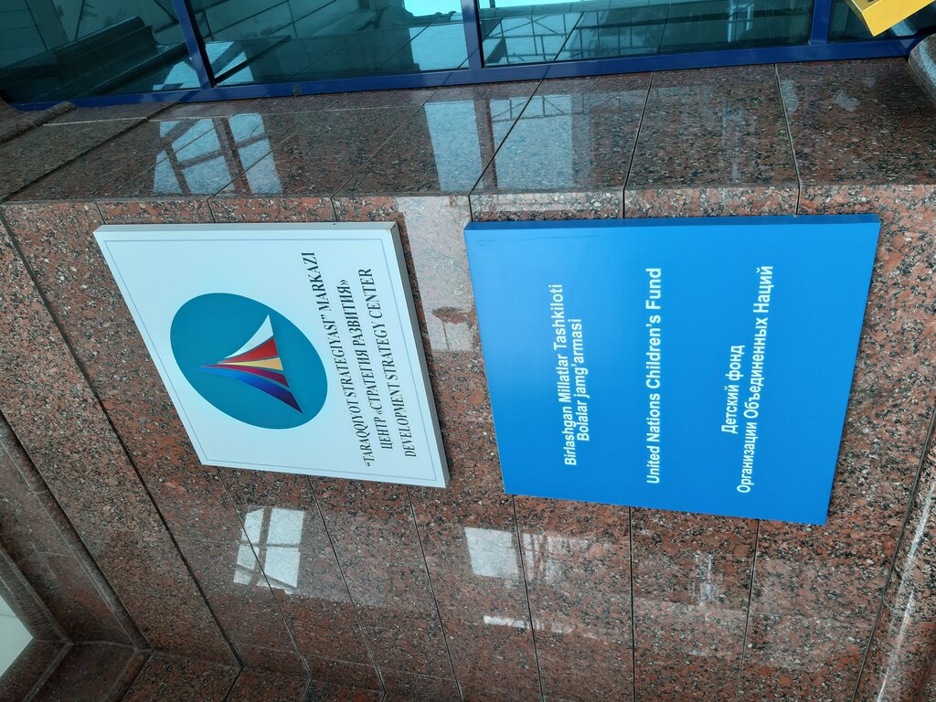 Community organization Development Strategy, Tashkent, photo