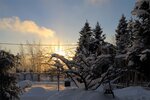 Snt Radiolog (Moscow Region, Pshkinskiy Urban District, derevnya Novovoronino), gardeners' partnerships and societies