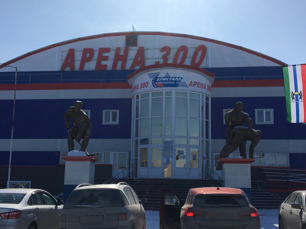 Арена 300 55б микрорайон южный фото