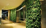 Green 7 (mikrorayon Klimovsk, Yuzhnaya Street, 12), paisajismo de locales