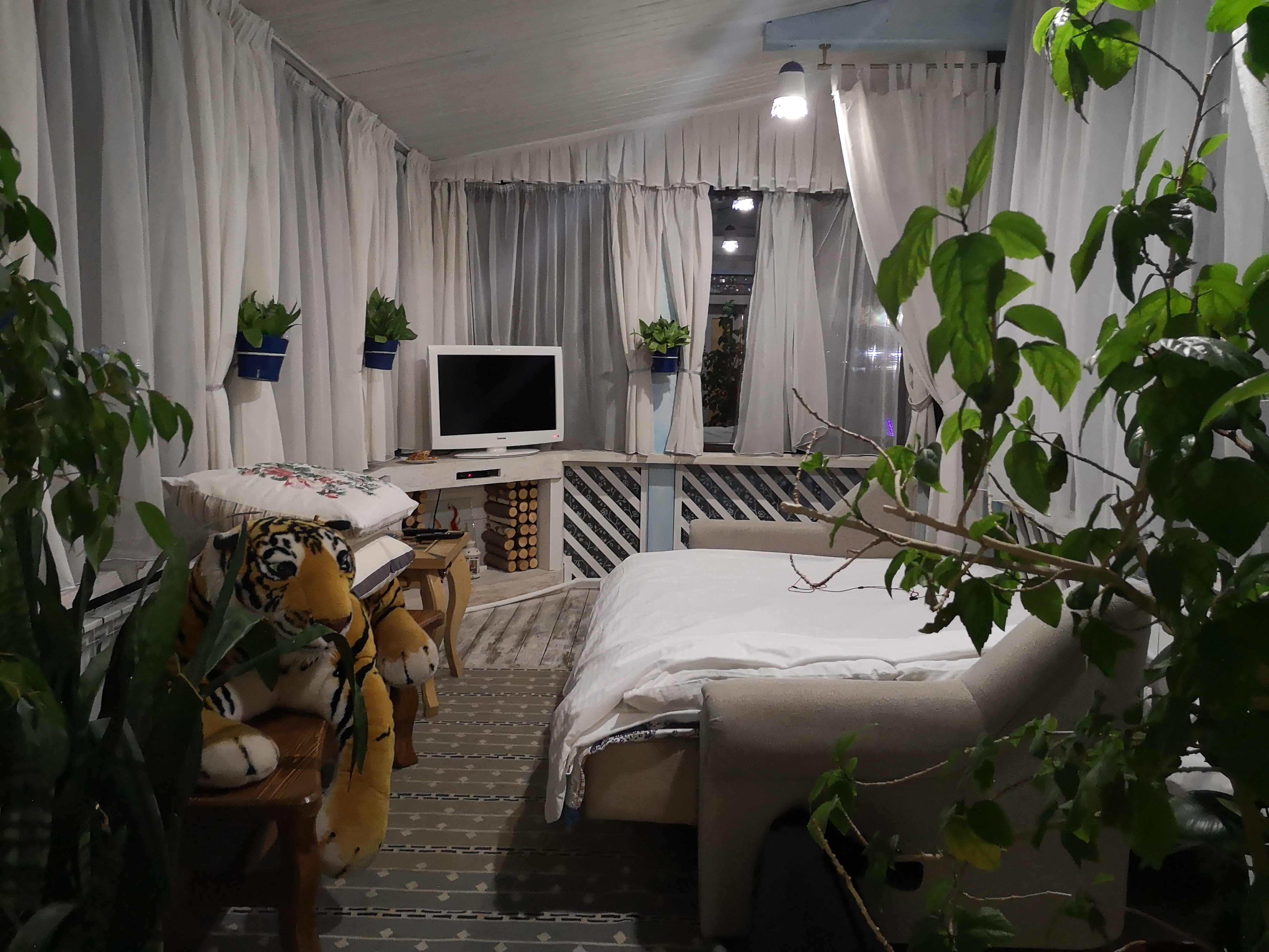 Фото Колесо