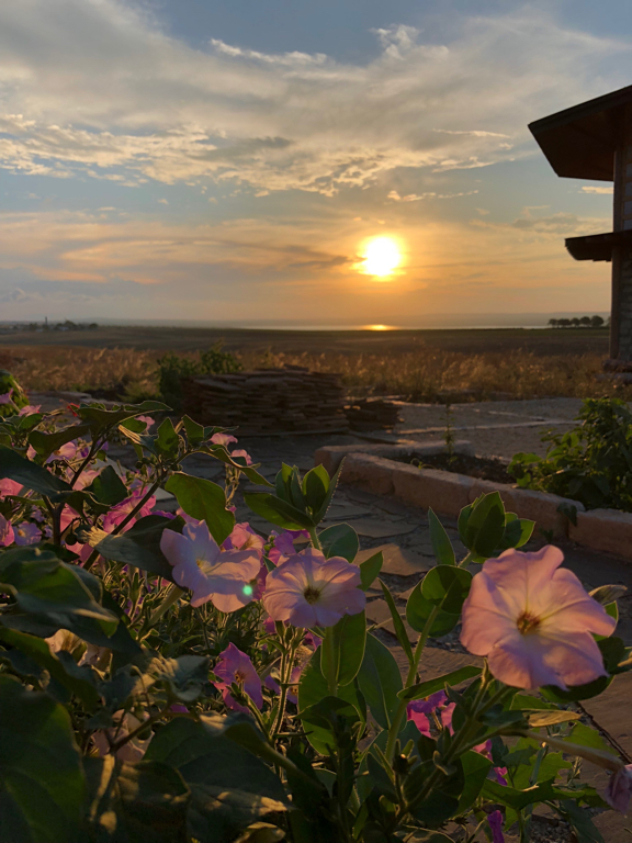 Фото Фридом