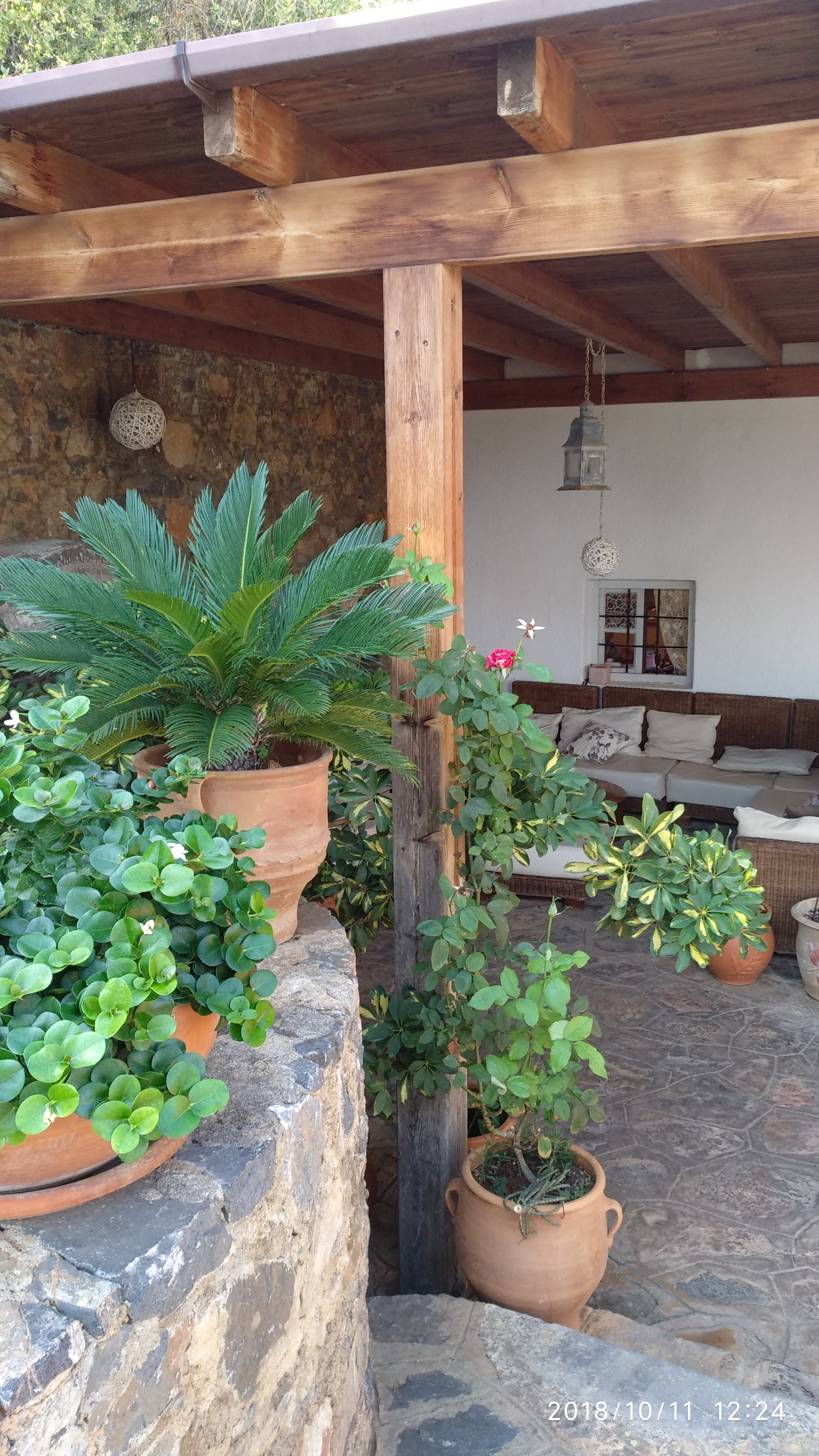 Фото Cretan Village Hotel