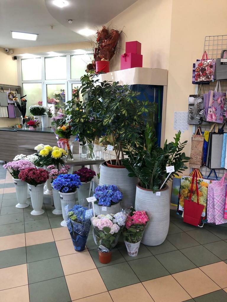 Эдем, +375 29 673-10-10, улица Строителей 45а, Борисов, Беларусь