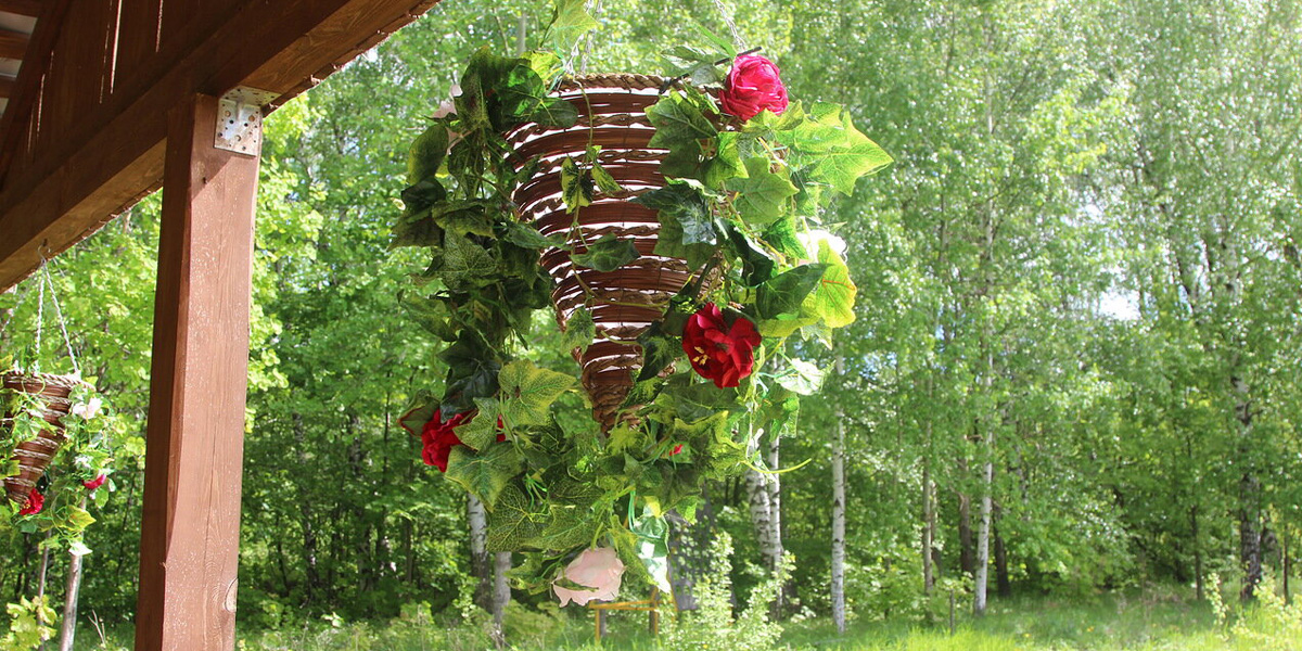 Фото Остров приключений