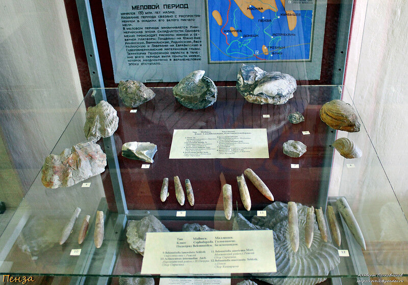 Краеведческий музей экспонаты с описанием