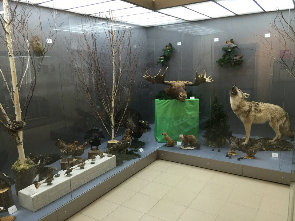 Cultural center МАУК Краеведческий экомузей, Pyt‑Yah, photo