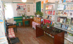 Андреевская библиотека (selo Andreyevka, Rabochaya ulitsa, 19А), library