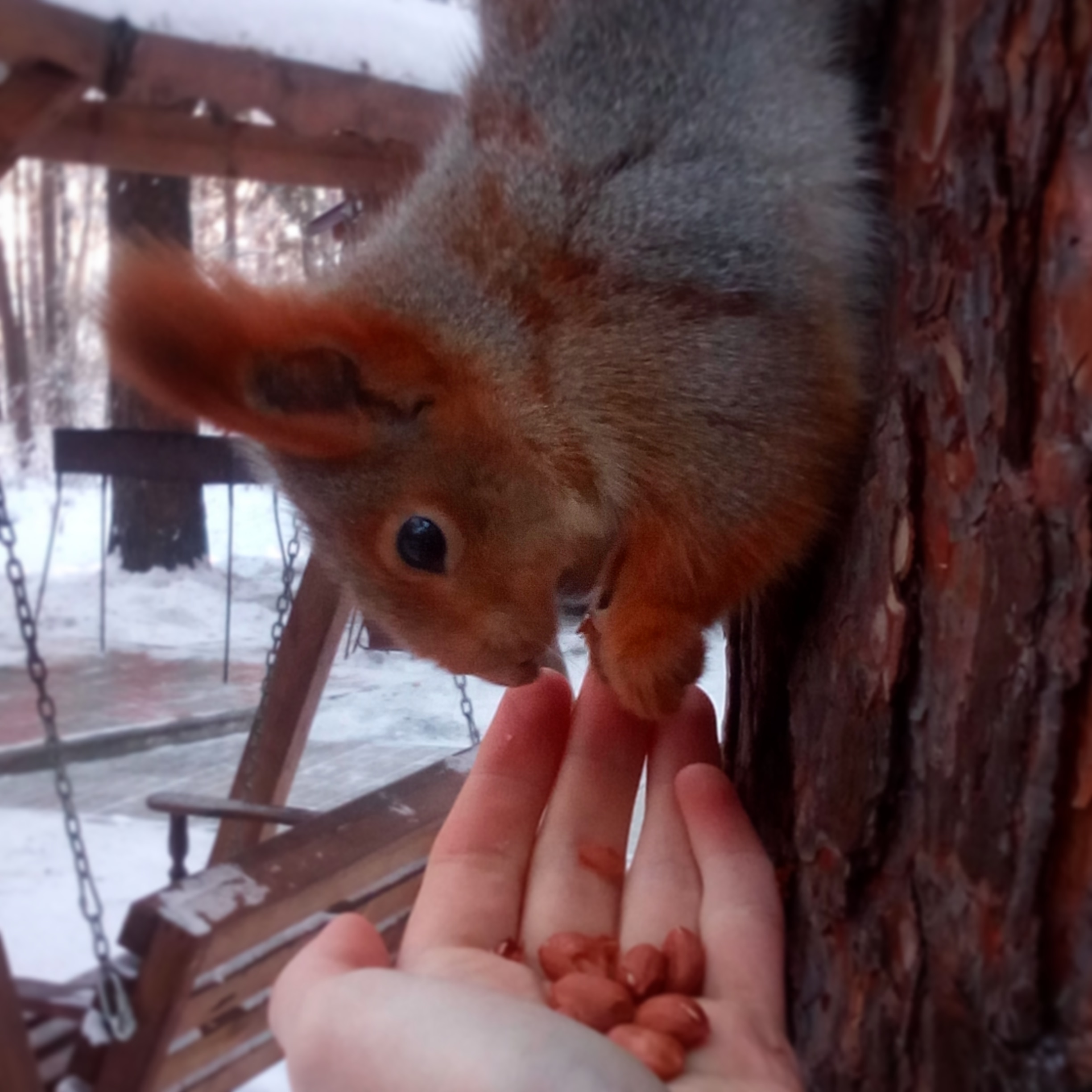 Фото Сказка