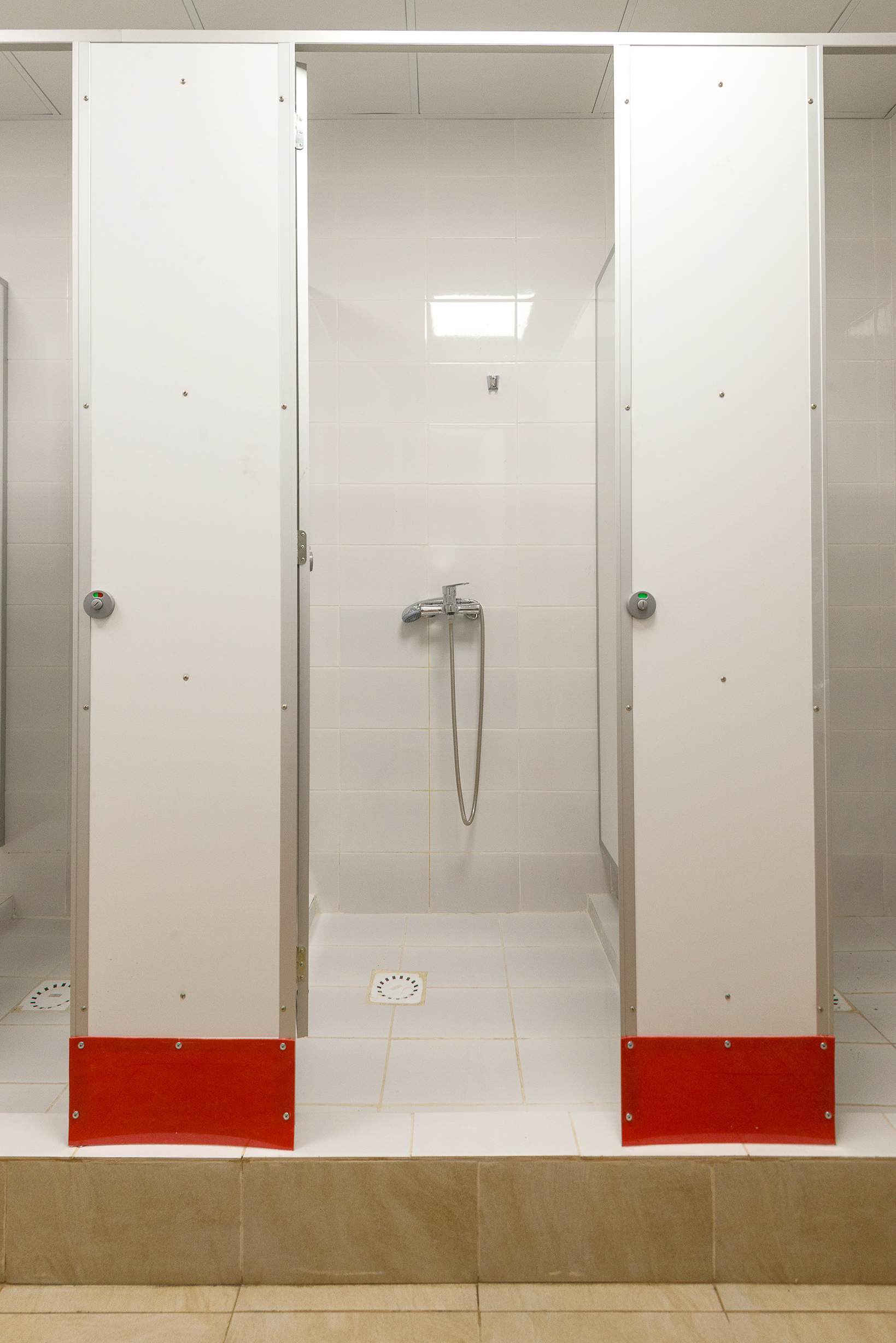 Фото Поживика