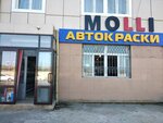 Molli (Petra I Avenue, 40), esmaltes para automóviles, pinturas para automóviles
