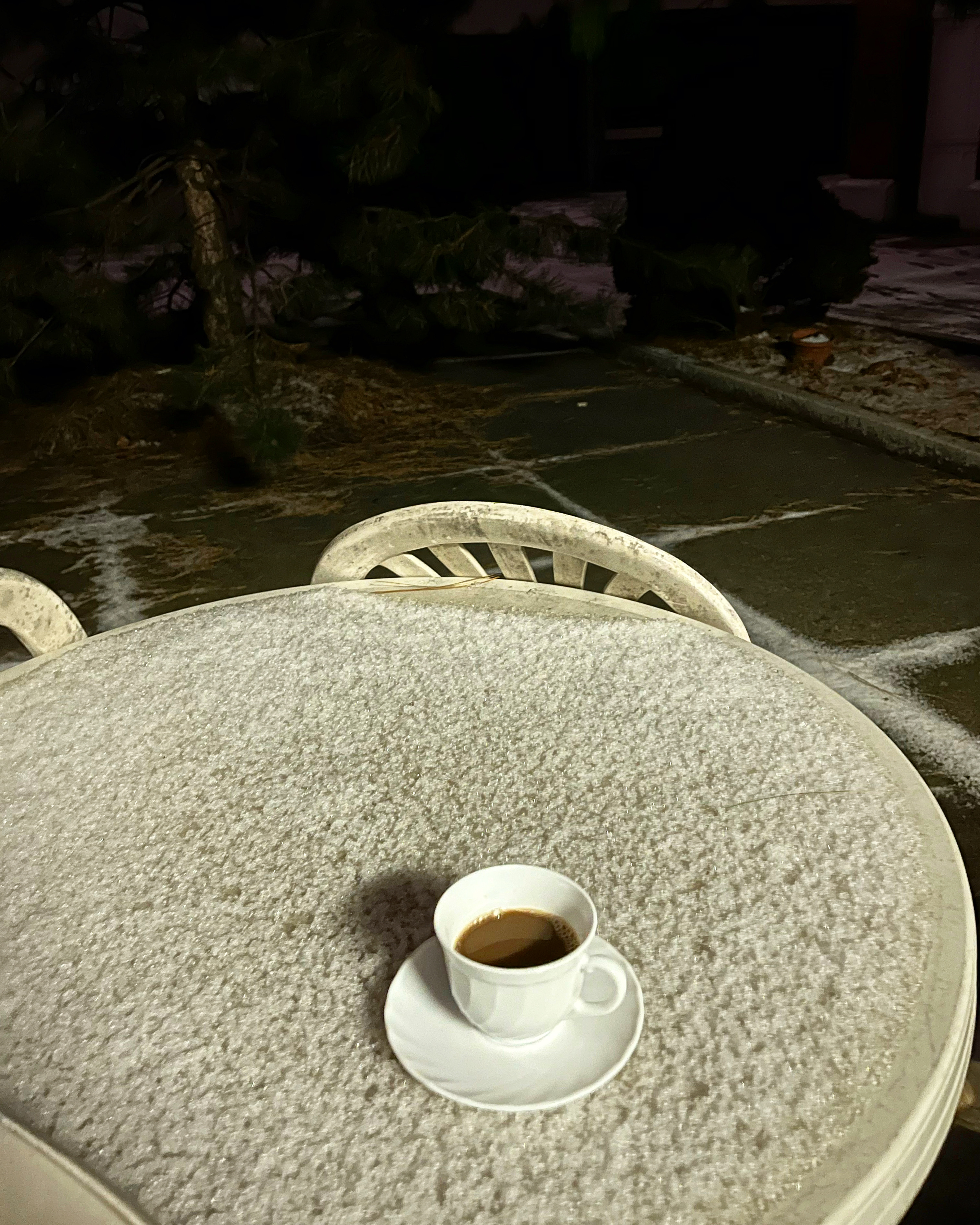 Фото У Медведя