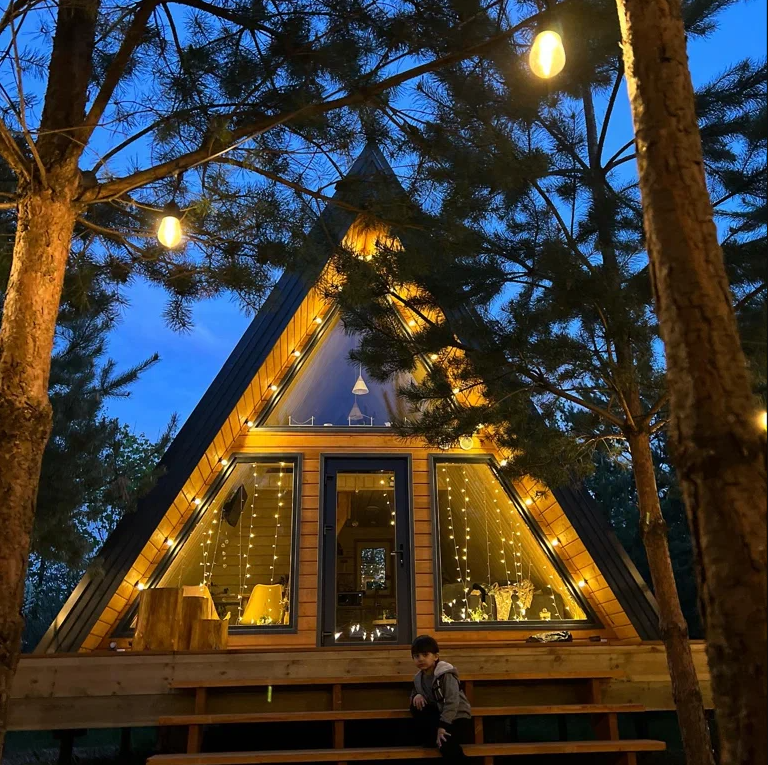 Фото Кусочек рая в соснах