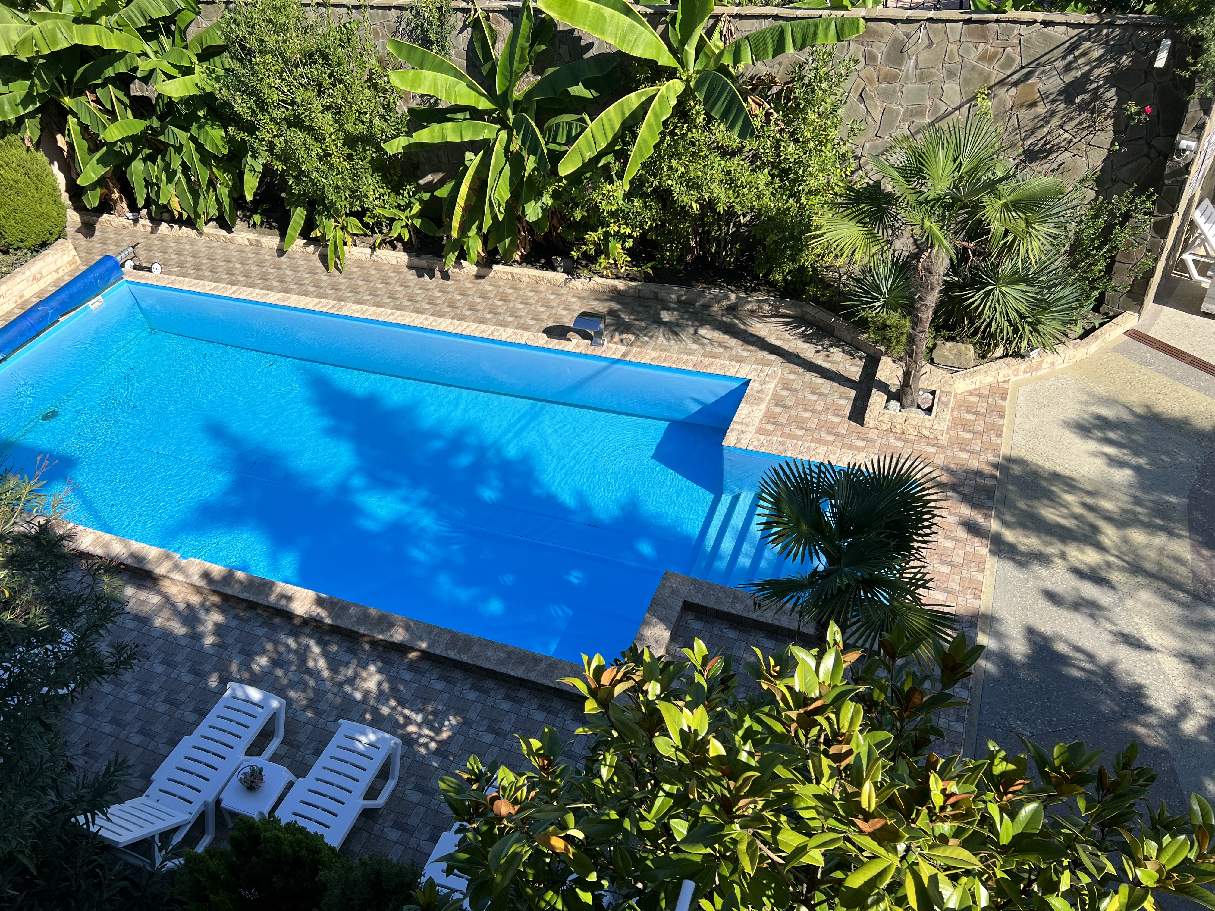 Фото У Елены