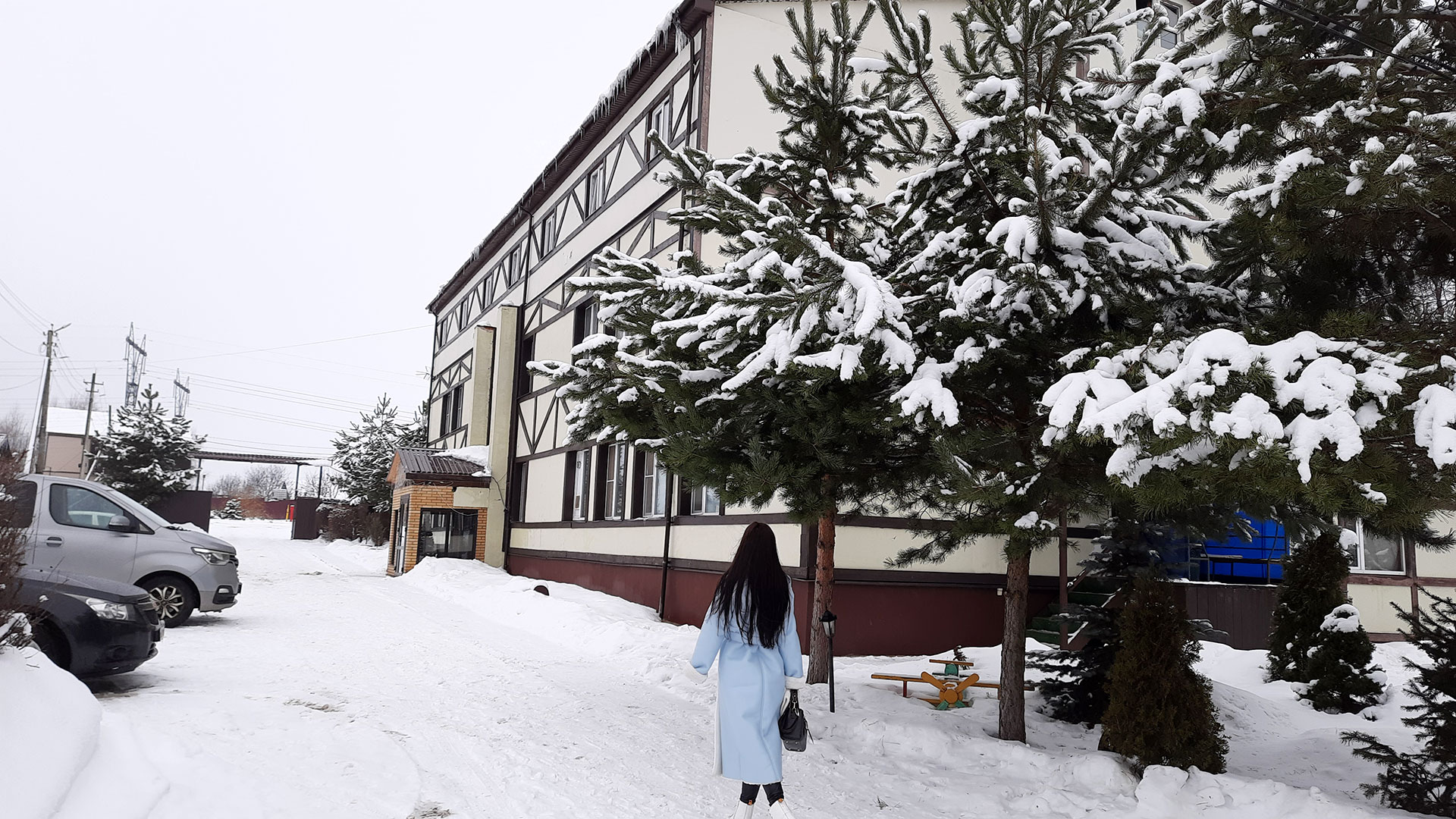 Фото Волков Скай