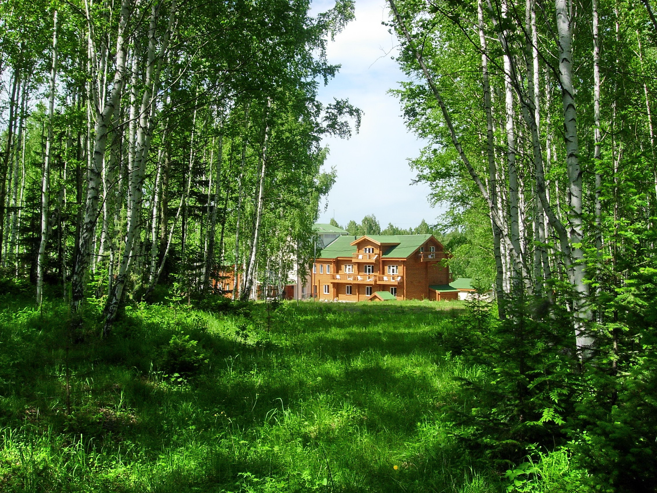 Фото Зелёный дом